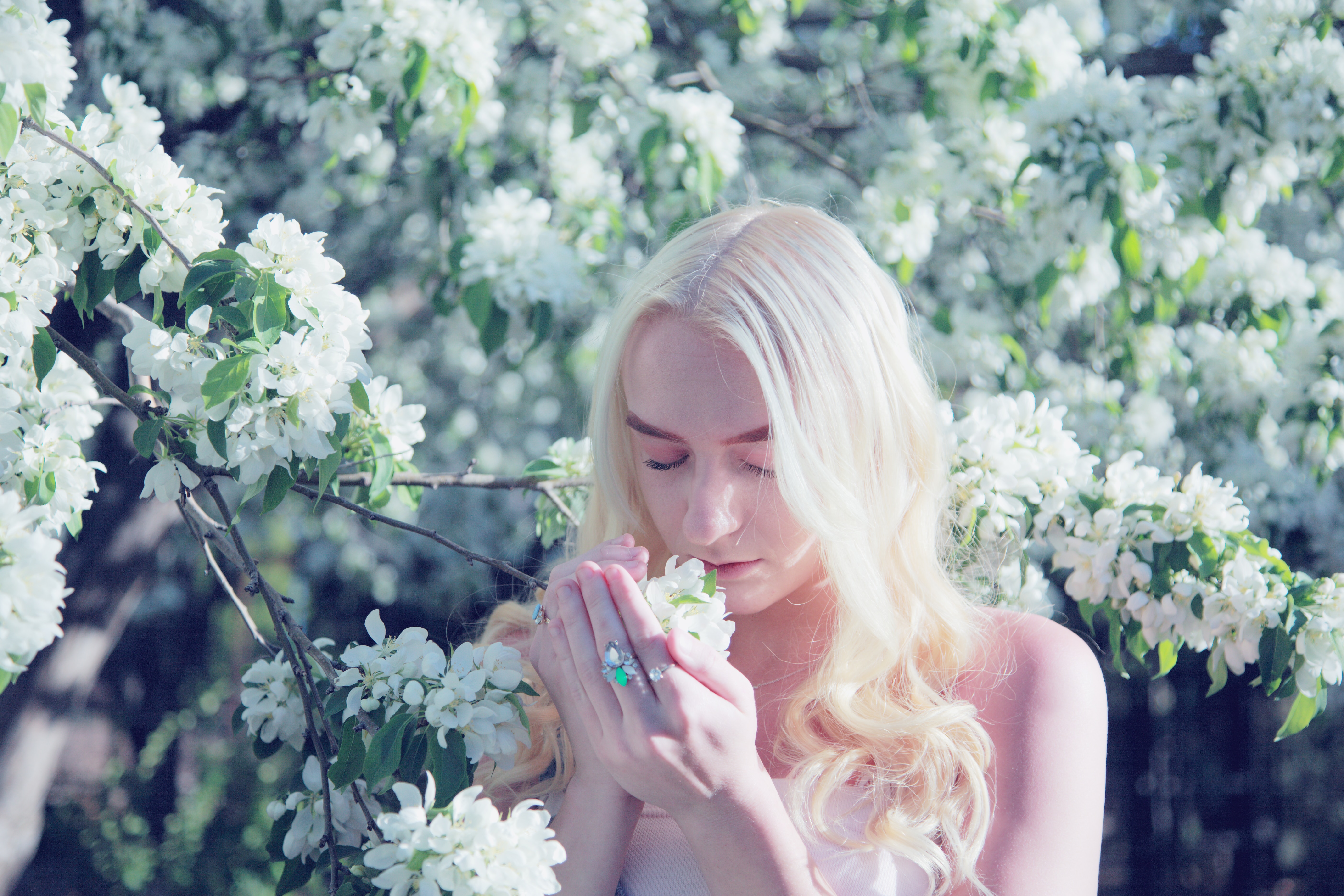 SENSES